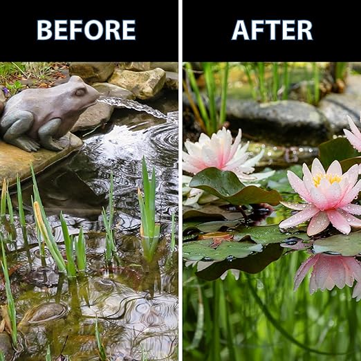 CrystalClear Thrive Aquatic Pond Plant Food, Fish Safe Water Garden Fertilizer, Nutrients Boost Lily & Lotus Flower Bloom & Root Growth, 30 Tablets-PawvioPets