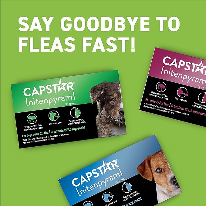 CAPSTAR Oral Flea Treatment for Dogs, Fast Acting Tablets Start Killing Fleas in 30 Minutes, Medium & Large Dogs (Over 25 lbs), 6 Doses-PawvioPets