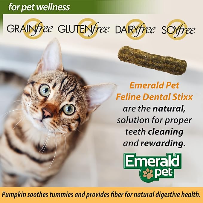 Emerald Pet Feline Dental Stixx — Tasty and Crunchy Cat Dental Sticks with Pumpkin for Digestive Health — Natural Grain Free Dental Treats for Clean Cat Teeth and Fresh Breath — Salmon Stixx, 3.6 oz-PawvioPets