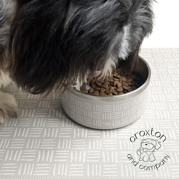 CROXTON & CO. Stainless Steel Pet Bowl for Dogs & Cats | Insulated Food Bowls for Dog Cat | No Tip No Slip | Non-Slip Rubber Base | Dishwasher Safe | Medium (4 Cups)-PawvioPets