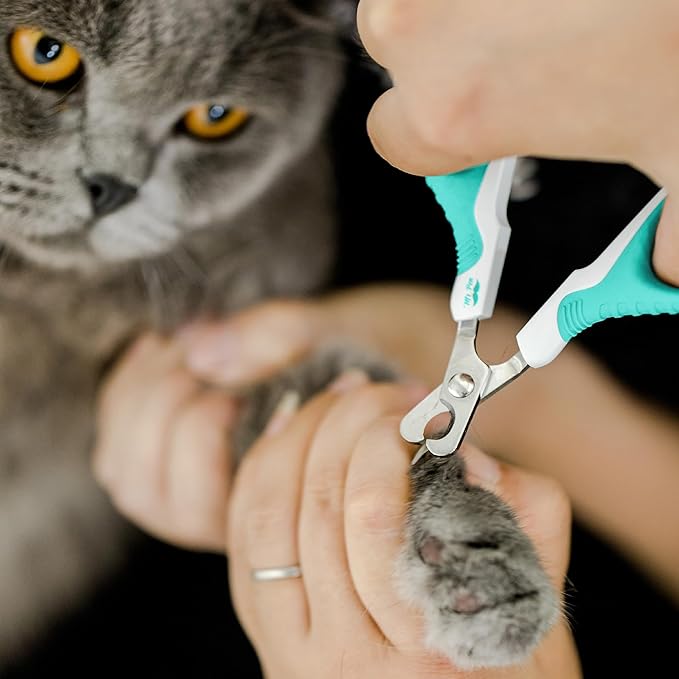Mr. Pen- Cat Nail Clipper, Sky Blue Cat Nail Trimmer, Cat Nail Clippers, Cat Claw Clippers, Cat Clippers for Nails, Pet Nail Clippers, Kitten Nail Clipper, Small Dog Nail Clipper Cat Claw Trimmer-PawvioPets