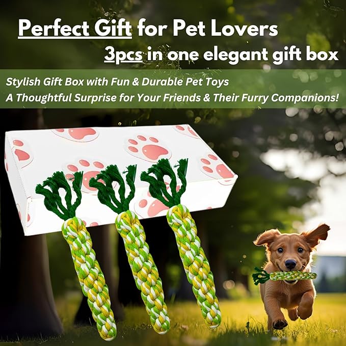 3PCS Rainbow Woven Pet Chew Set, Colorful Puppy Teething Chews, Dog Chew Toys, Cat Teething Playset, Soft & Safe Interactive Pet Chews-PawvioPets