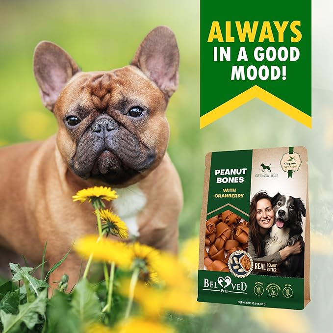 Dog Treats Peanut Butter Bones with Cranberry & Rawhide Free Chew 11 Oz - Pet Natural Mini & Big Snacks Healthy Collagen & Bulk Best Chews for Small & Large Dogs - Made for USA (Peanut Butter)-PawvioPets