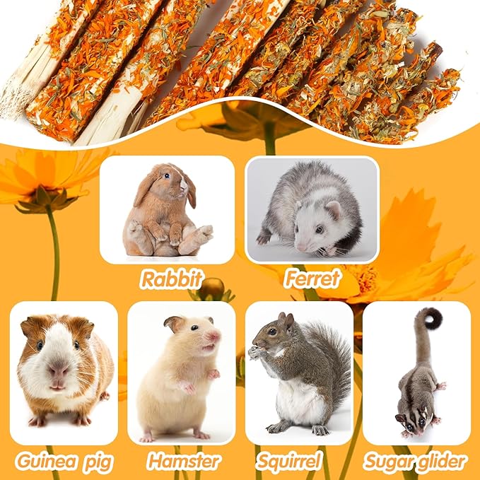 Apple Sticks for Rabbits, Natural Bunny Chew Toys Wood Treats Food for Small Animals,Hamsters, Chinchillas Squirrel Bunny Guinea Pigs Small Pet Apple Chew Sticks-PawvioPets