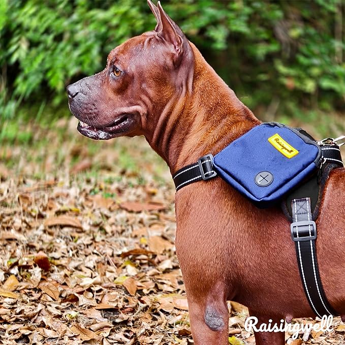 Dog Treat Pouch for Pet Walking and Training with Clicker Poop Bags Small Fanny Zipper Pack Holder for Puppy Snack Dispenser Kit for Leash and Outdoor Use (Blue)-PawvioPets