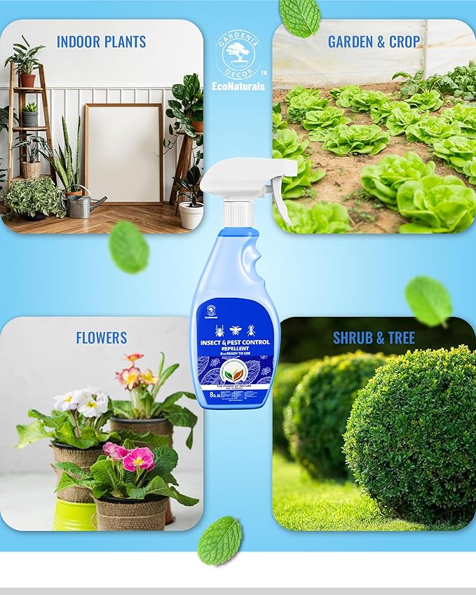 All Natural Bug Spray for Home - Non-Toxic Peppermint Oil Insect and Pest Control Kit - 8 oz Ready-to-Use Bug Spray - Indoor and Outdoor Protection- Ant Spray - Spider Repellent Indoor-PawvioPets