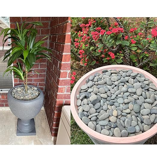 2.4LB River Rocks Mexican Beach Pebbles for Garden Landscape Stone Paving Stone Grey (1Inch)-PawvioPets