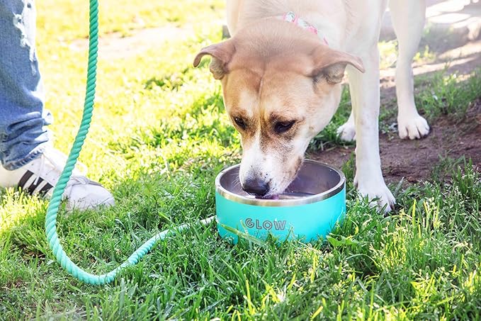 Dog Bowl, Dog Water Bowl Vacuum Insulated Stainless Steel, Non-Slip, Spill-Proof, Easy Clean, Keeps Water Cool, Cute, Stylish Pet Bowl, 64 oz, Light Blue, Modern-PawvioPets