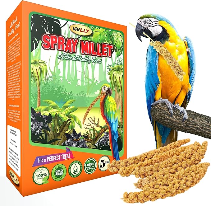 5LBS GMO-Free Sun Dried Spray Millet - Original Bird Treat Millet for Parakeets, Cockatiels, Finches & More - Non-GMO, High in Amino Acids, Easy Storage, Tasty & Healthy Bird Snacks (5 lbs)-PawvioPets
