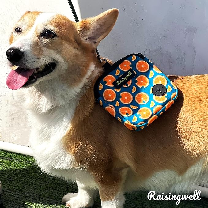 Dog Treat Pouch for Pet Walking and Training with Clicker Poop Bags Small Fanny Zipper Pack Holder for Puppy Snack Dispenser Kit for Leash and Outdoor Use (Fruit Orange)-PawvioPets