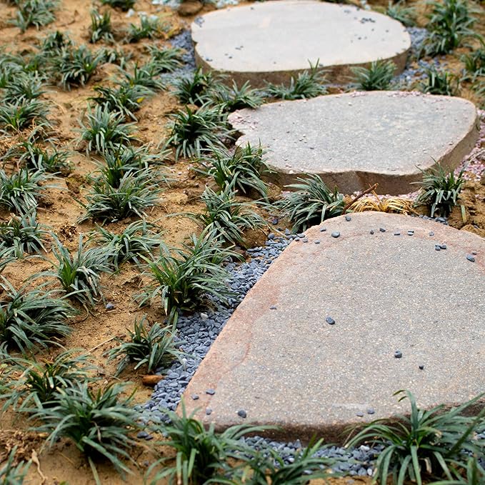 18lb Black Cactus Pea Gravel Rocks,1/4 Inch Pebbles for Indoor Plants, Natural Succulent Rock and River Rocks Decorative for Aquariums, Vases, Outdoor Gardening, Top Dressing for Potted Plants-PawvioPets