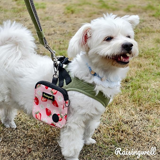 Dog Treat Pouch for Pet Walking and Training with Clicker Poop Bags Small Fanny Zipper Pack Holder for Puppy Snack Dispenser Kit for Leash and Outdoor Use (Strawberry)-PawvioPets