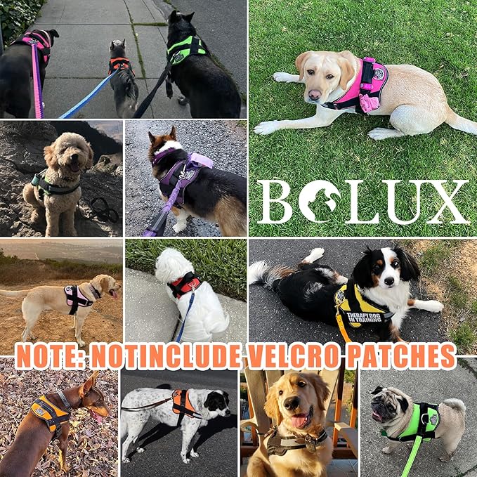 Bolux Dog Harness, No-Pull Reflective Dog Vest, Breathable Adjustable Pet Harness with Handle for Outdoor Walking - No More Pulling, Tugging or Choking (XX-Large (Pack of 1), YellowOrange)-PawvioPets