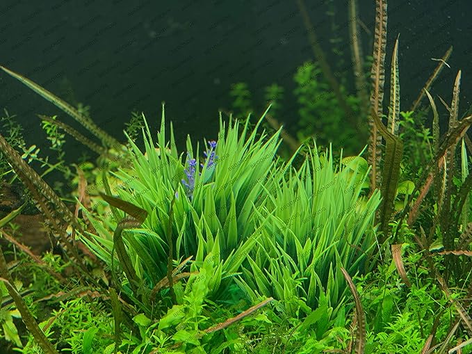 BEGONDIS 2Pcs Aquarium Decorations Fish Tank Artificial Green Water Plants Made of Soft Fabrics Plastic-PawvioPets