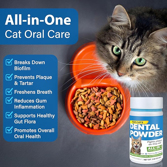 Cat Dental Care Powder Bad Breath Treatment for Cats Teeth, Mouth, Gums & Gut, Plaque Off,Tartar Control, Help Feline Gingivitis and Stomatitis, with Natural Extracts & Probiotics-PawvioPets