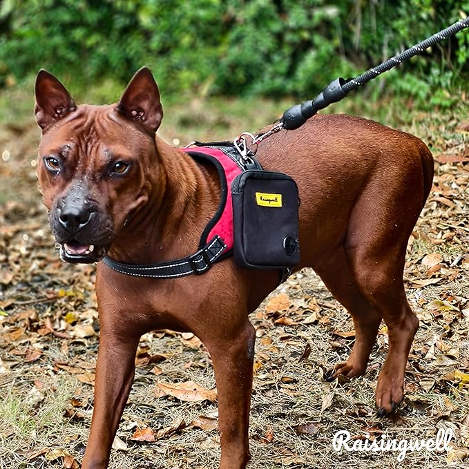 Dog Treat Pouch for Pet Walking and Training with Clicker Poop Bags Small Fanny Zipper Pack Holder for Puppy Snack Dispenser Kit for Leash and Outdoor Use (Black)-PawvioPets