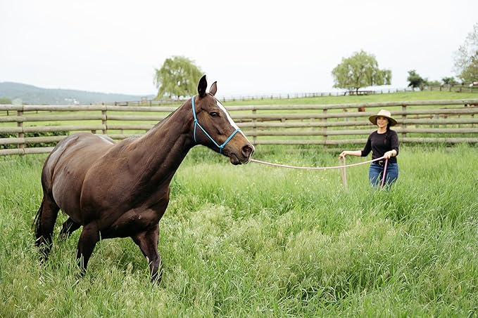 22' Long Line with SS O Ring and Carabiner (Turquoise Brown)-PawvioPets