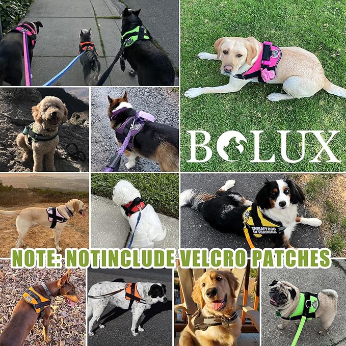 Bolux Dog Harness, No-Pull Reflective Dog Vest, Breathable Adjustable Pet Harness with Handle for Outdoor Walking - No More Pulling, Tugging or Choking (X-Small (Pack of 1), GreenYellow)-PawvioPets
