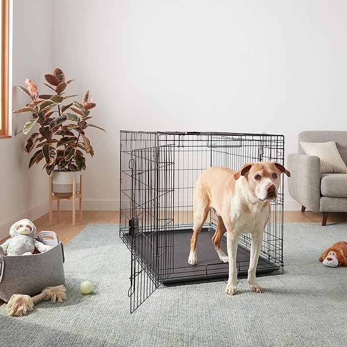 Amazon Basics Durable, Foldable Metal Wire Dog Crate with Tray, Double Door, 48 x 30 x 32.5 in, Black-PawvioPets