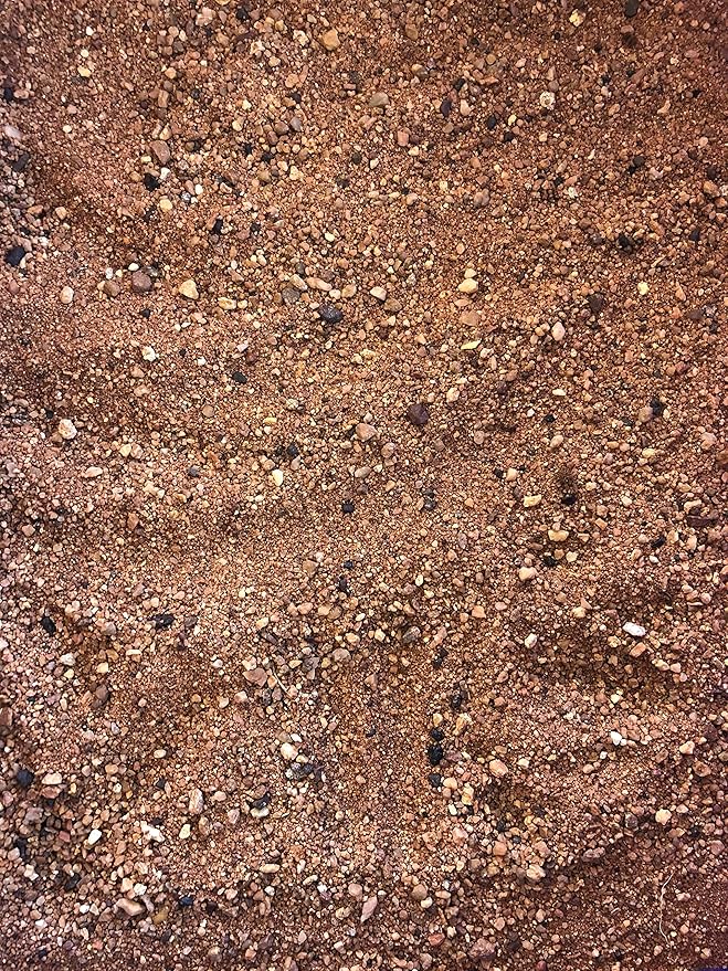 Australian Desert Dragon Habitat 20lb Substrate for Bearded Dragons and Other Lizards, Red (DESERT020)-PawvioPets