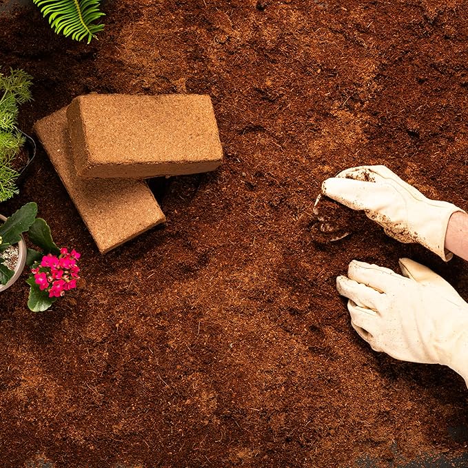 Coco Coir Brick (650gms) - Organic Coco Coir for Plants & Gardening - OMRI-Listed Cocopeat for Garden Soil, Seed Starter Soil, & Mulch - Coconut Coir Brick - Coconut Fiber Potting Mix-PawvioPets
