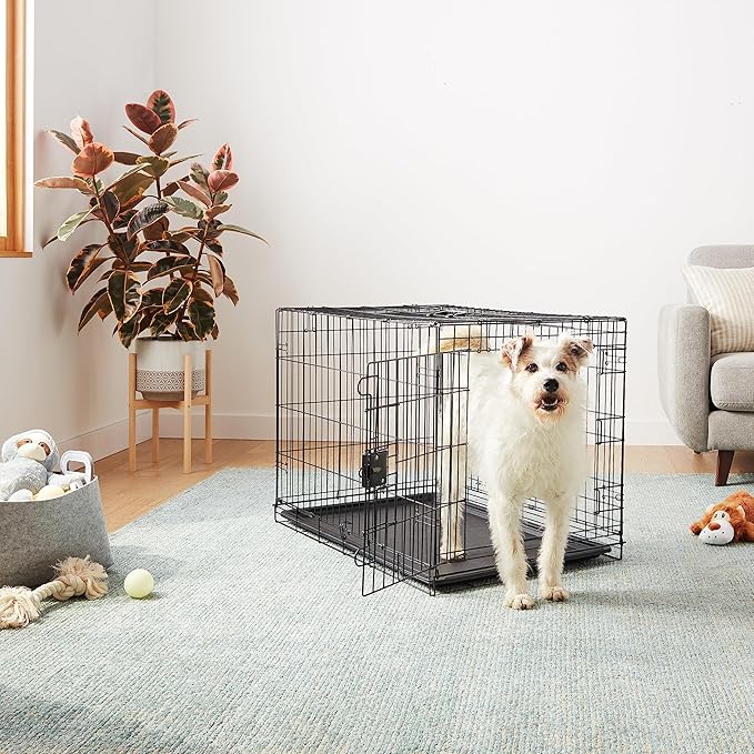 Amazon Basics Durable, Foldable Metal Wire Dog Crate with Tray, Double Door, 36 x 23 x 25 in, Black-PawvioPets