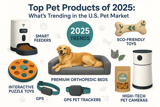 Top Pet Products of 2025: What’s Trending in the U.S. Pet Market