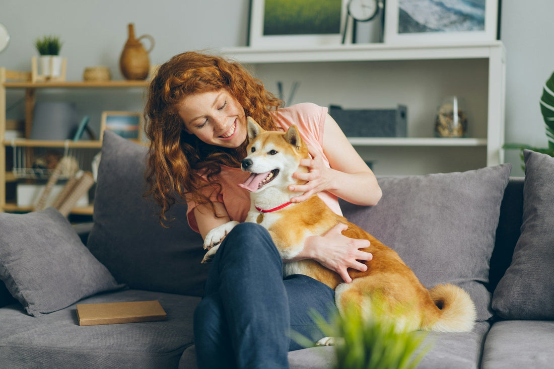 The Ultimate Guide to Keeping Your Dog Healthy and Happy at Home