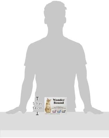 Amazon Brand - Wonder Bound Wet Cat Food, Pate, No Added Grain, Variety Pack (Cod, Sole & Shrimp, Salmon, White Fish & Tuna), 3 ounce (Pack of 24)-PawvioPets