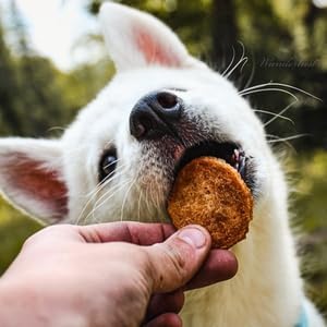 Farm To Pet - Dog Training Treats - Chicken Chips, Single Ingredient - 4 oz, Lean, All Natural, Healthy Dog Treats for Small, Medium, Large Breeds, & Puppies, Made in USA-PawvioPets