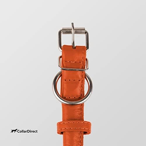 CollarDirect Rolled Leather Dog Collar, Soft Padded Round Puppy Collar, Handmade Genuine Leather Collar Dog Small Large Cat Collars 13 Colors (13-16 Inch, Orange Textured)-PawvioPets