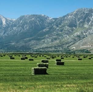 Blue Mountain Hay | Fresh Timothy Hay (5 Pounds) | Great for All Ages | High-Altitude Hay Pet Food for Rabbits, Guinea Pigs, Chinchillas, Hamsters, and Other Small Pets-PawvioPets