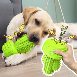 Dog Chew Toys Dog Toothbrush Stick Teeth Cleaning Brush Dental for Small Medium Large Dog, Rubber Squeaky Toys for Aggressive Chewers Cactus Tough Toys-PawvioPets