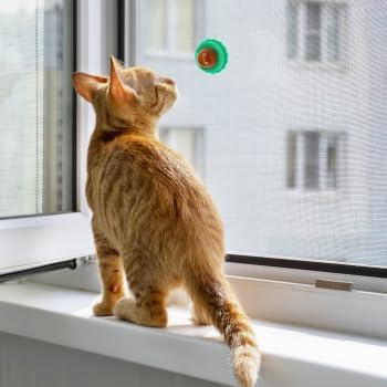 BESPORTBLE 10Pcs Catnip Balls Cat Catnip Ball Natural Licking Edible Wall Stick on Cat Licker Toy Pet Lollipop-PawvioPets