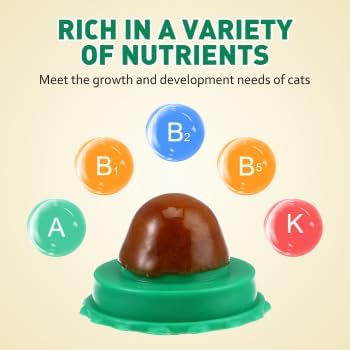 BESPORTBLE 10Pcs Catnip Balls Cat Catnip Ball Natural Licking Edible Wall Stick on Cat Licker Toy Pet Lollipop-PawvioPets