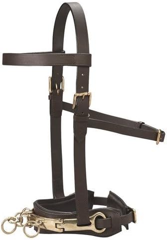 Dover Saddlery Leather Lunge Caveson, Size: C/S-PawvioPets