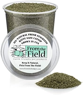 from The Field | Fine Ground Stalkless Catnip | Premium USA-Grown Catnip for Toys & Playtime | Fresh, Potent, Non-Toxic, Eco-Friendly | Safe for Kittens & Cats | Resealable 6 oz Tub-PawvioPets