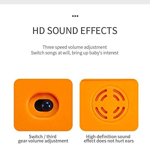 Animal Park Interactive Pop Up Music Toy,Up- Early Education Activity Center Toy, Ages 7 8 9 10 11 12 Months and up Infant Toddlers Toys.-PawvioPets