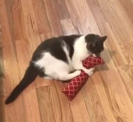 15" Catnip Cat Kicker Toys/Kitty Kick Sticks/Cat-Nip Kick Sticks (Rose Red) (Kickers Filled with 1 oz Premium Canadian Catnip)-PawvioPets