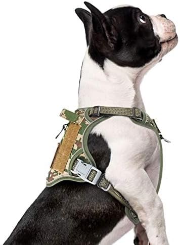 BUMBIN Tactical Dog Harness for Small Dogs No Pull, Famous TIK Tok No Pull Puppy Harness, Fit Smart Reflective Pet Walking Harness for Training, Adjustable Dog Vest Harness with Handle Forest Camo XS-PawvioPets