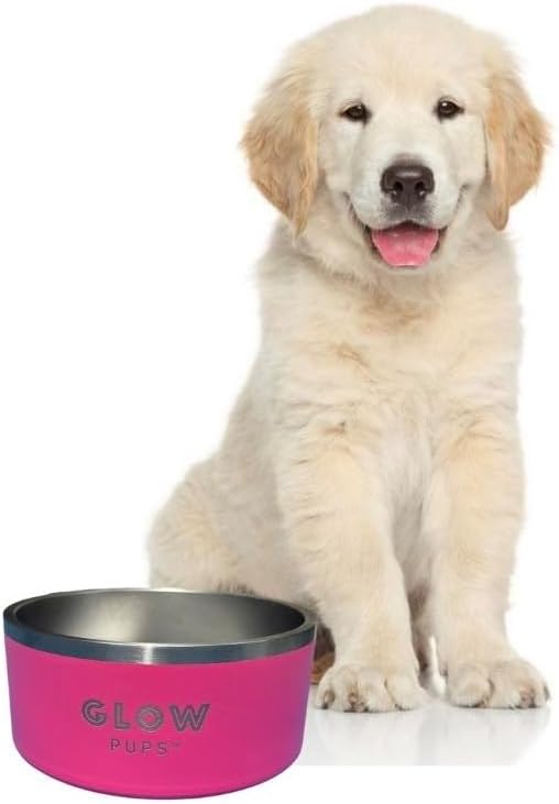Bright Pink Dog Bowl for Small Dogs, 32 oz Non Slip Stainless Steel Pet Bowl, Vacuum Insulated Pet Bowl That Keeps Water Cool (32 oz, Bright Pink)-PawvioPets