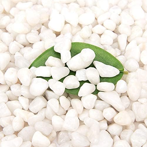 18 Pounds Decorative Pebbles Small White Stones Aquarium Gravel River Rock, Natural Polished Decorative Gravel,Garden Ornamental Pebbles Rocks,White Decorative Stones,White Pebbles, Decor (White)-PawvioPets