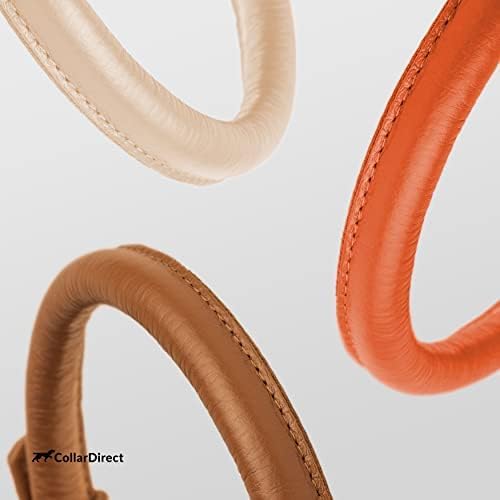 CollarDirect Rolled Leather Dog Collar, Soft Padded Round Puppy Collar, Handmade Genuine Leather Collar Dog Small Large Cat Collars 13 Colors (13-16 Inch, Orange Textured)-PawvioPets