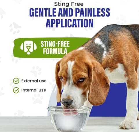 Colloidal Silver for Dogs & Cat Wound Care, Immune Support & Skin Solution - All Pet Health Care for Itch, Sores, Wounds, Hotspots & More with Syringe (32 oz)-PawvioPets