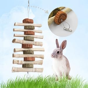 4 PCS Rabbit Chew Toys for Teeth Grinding, Delicious Bunny Cage Hanging Chew Toys, Natural Sweet Bamboo Chew Sticks and Timothy Grass Cake Hay Treats Maintaining Healthy Teeth for Rabbits-PawvioPets