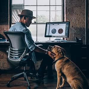 Flea and Tick Collar for Small Dog, Made with Natural Plant Based Essential Oil, Safe and Waterproof, Free Comb and Prevention Treatment Drop, 2x6 Month, 13.8 in (2 Packs)-PawvioPets