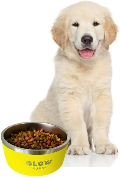 Dog Bowl, Non-Slip Stainless Steel Pet Bowl with Vacuum Insulated Design, Keeps Water Cool, Easy to Clean, Modern Style, 64 oz, Yellow-PawvioPets