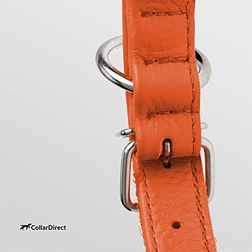 CollarDirect Rolled Leather Dog Collar, Soft Padded Round Puppy Collar, Handmade Genuine Leather Collar Dog Small Large Cat Collars 13 Colors (11-14 Inch, Orange Textured)-PawvioPets