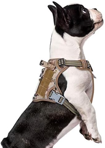 BUMBIN Tactical Dog Harness for Small Dogs No Pull, Famous TIK Tok No Pull Puppy Harness, Fit Smart Reflective Pet Walking Harness for Training, Adjustable Dog Vest Harness with Handle Desert Camo XS-PawvioPets