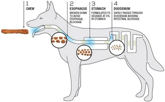 Collagen Pretzels, Bully - Collagen Dog Treats - Long Lasting Healthy Joint Support Dog Treat - Rawhide Alternative - Skin & Coat Health, 1 Bag, 8 Count-PawvioPets